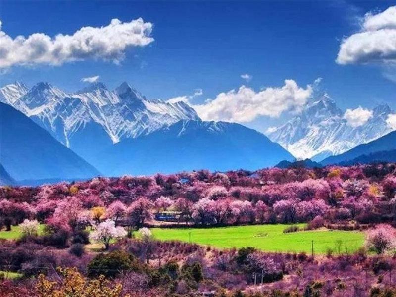 魯朗林海1