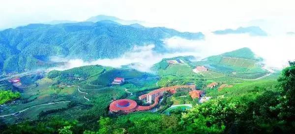 梅州市雁南飛茶田景區
