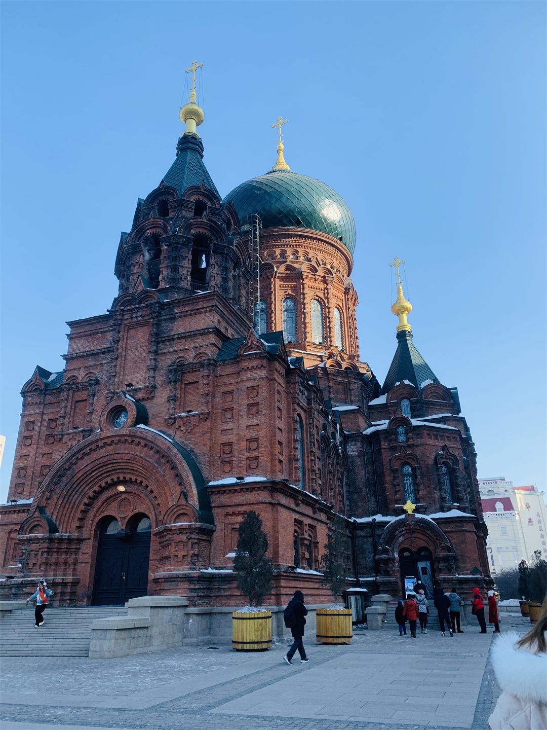 IMG_7805.jpg