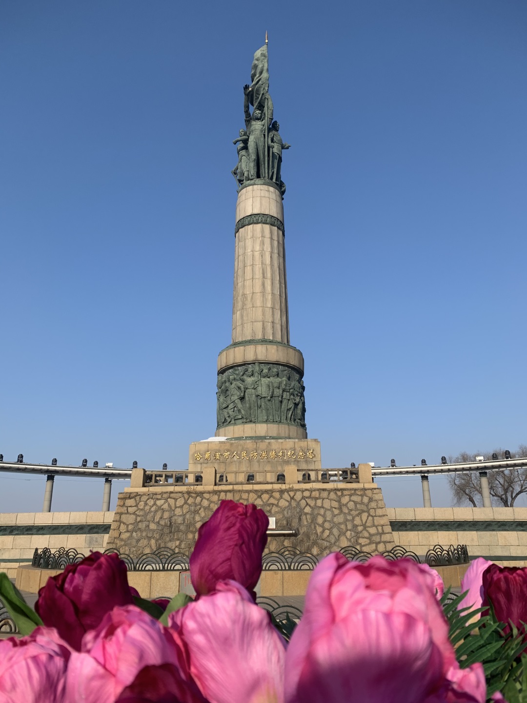 IMG_7847.jpg