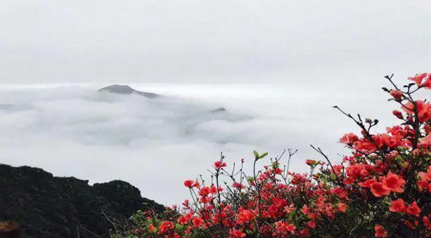 金子山1.jpg