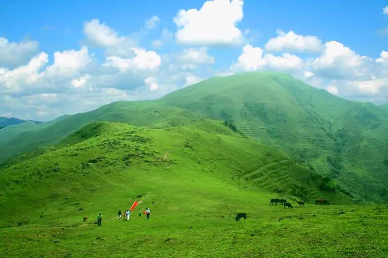 信宜天馬山.jpg