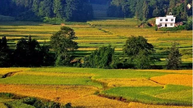信宜天馬山3.jpg