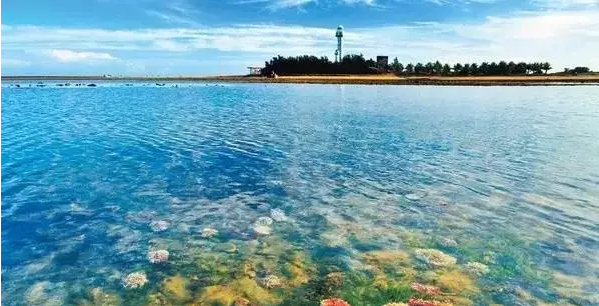 南極村1.jpg
