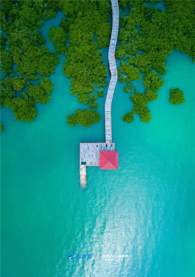特呈島11