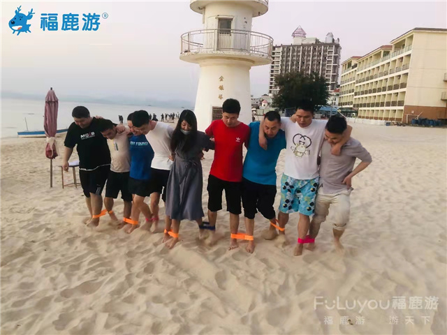 深圳飛圖 (15)