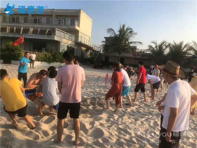 深圳飛圖 (13)