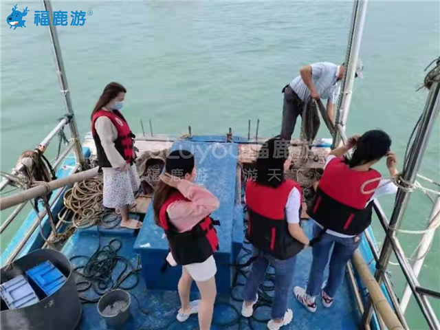 惠州巽寮灣出海捕魚