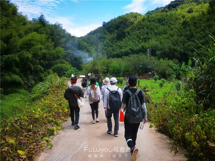 溪頭村徒步星溪線 (13)