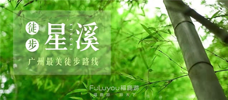 溪頭村徒步星溪線 (16)