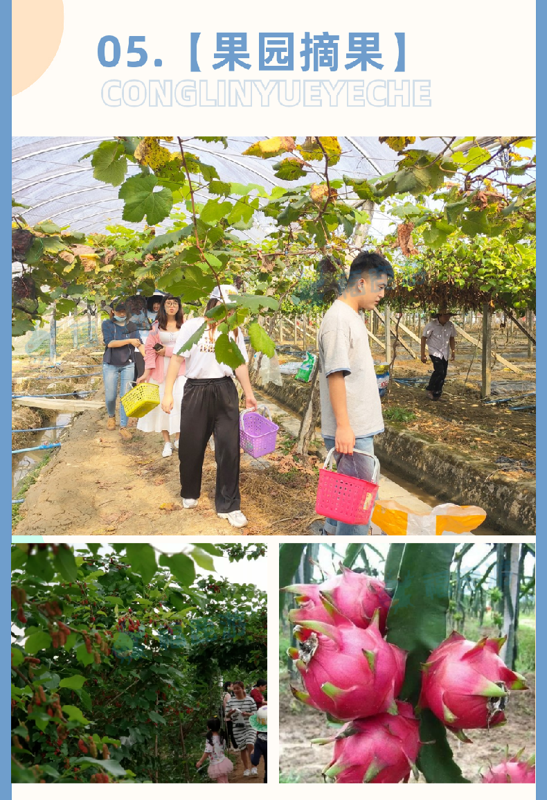 從化農家樂團建 (7)