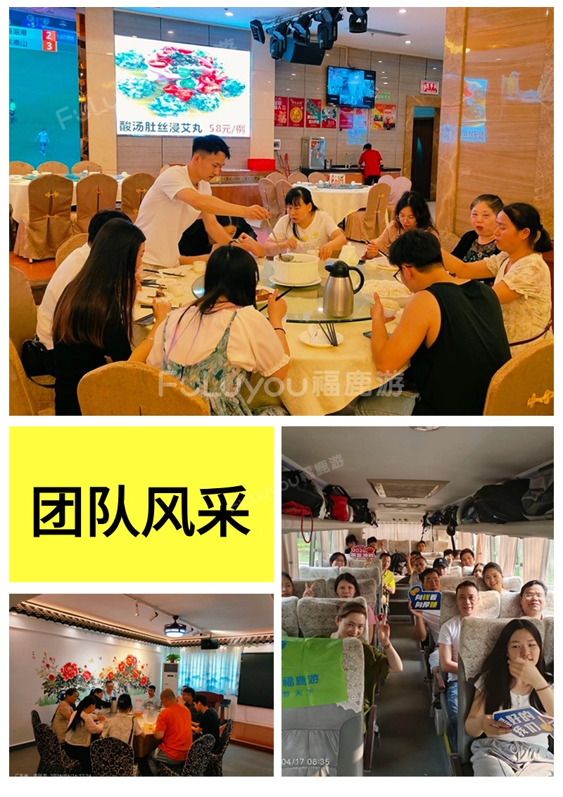 案例 (17)