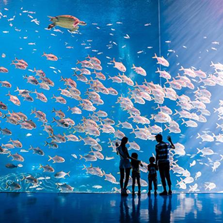 【高端定制】珠海長隆海洋王國+珠海海泉灣溫泉度假村3天游【長隆景區內酒店】一晚入住企鵝酒店+一晚入住海泉灣溫泉酒店