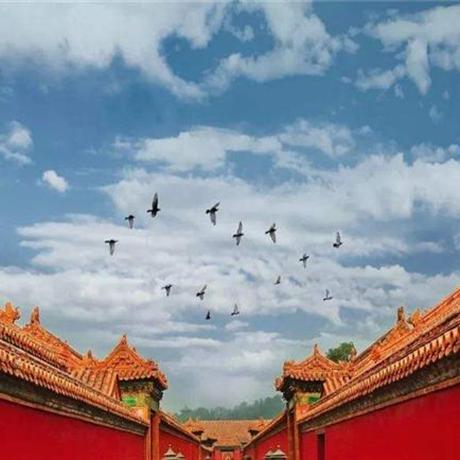 【遇見北京】京城雙飛五天純玩團尊享品質航班:南方航空、打卡新七大奇跡之一大興國際機場
