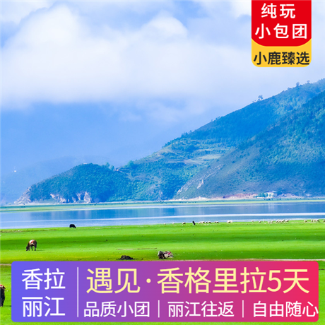 遇見(jiàn)香格里拉 | 麗江香格里拉純玩5天雪山大索、普達(dá)措森林公園、虎跳峽、漫步古鎮(zhèn)，美景從來(lái)不將就