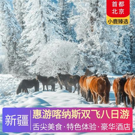 惠游喀納斯雙飛八日游精心挑選當地準四精品酒店住宿+升級兩晚當地準五豪華酒店