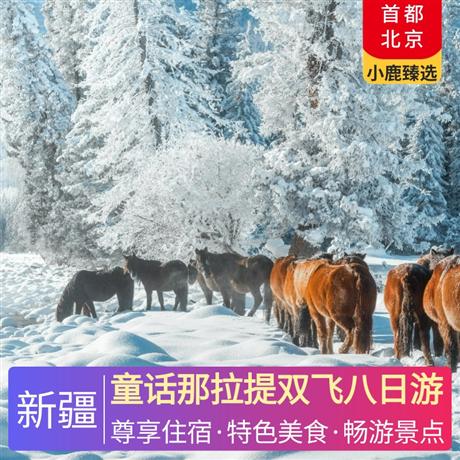 童話那拉提雙飛八日游四星精品酒店+特別升級2晚五星酒店，為生日游客安排旅途生日會