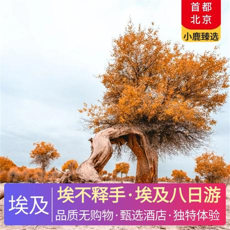 埃不釋手·埃及八日游1 晚開羅國際五星酒店+1 晚盧克索國際五星酒店+升級2晚紅海城堡度假酒店+1晚開羅四季第一居