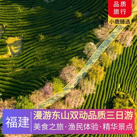 漫游東山雙動品質三日游體驗東山島保留的一種古老捕魚方式——拉山網，贈送漁排點心螃蟹+地瓜+生蠔