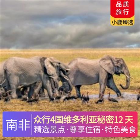 眾行4國維多利亞秘密12 天全程當?shù)?4 星酒店+1 晚非洲特色茅草屋，升級一晚絕美葡萄園區(qū)酒店