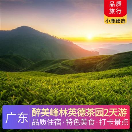 醉美峰林英德茶園2天游<深圳出發>英德市區公寓酒店，尋味《英紅茶香宴》