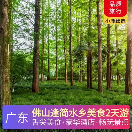 佛山逢簡水鄉美食2天游<深圳出發>入住豪華金鼎泰豐酒店，漫步逢簡水鄉—感受水鄉慢生活