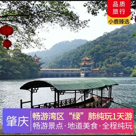 暢游灣區“綠”肺純玩1天游探秘“北回歸線帶上的綠寶石”，暢游灣區“綠肺” 天然大氧吧